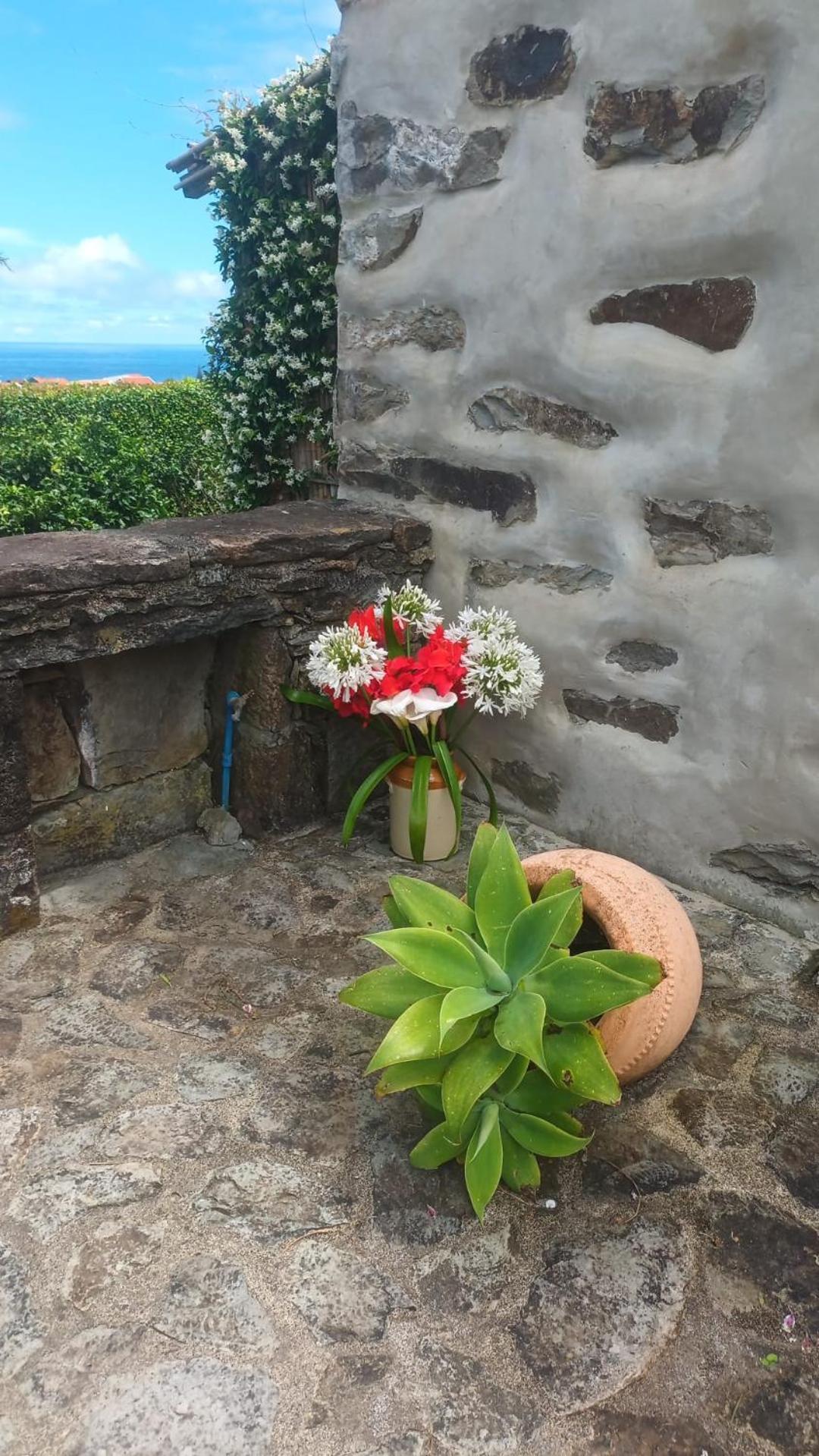 Apartament Casas Da Quinta Santa Cruz das Flores Zewnętrze zdjęcie